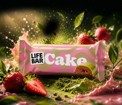Lifefood Cake - plant based & bio